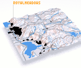 3d view of Royal Meadows