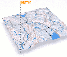 3d view of Weston