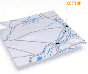 3d view of Cotton