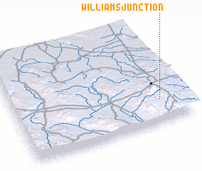 3d view of Williams Junction