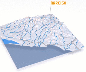 3d view of Narciso