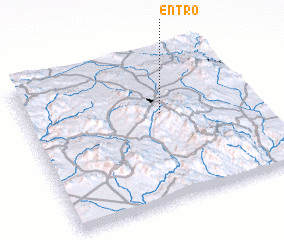 3d view of Entro