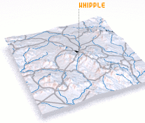 3d view of Whipple