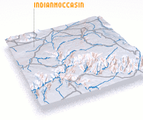 3d view of Indian Moccasin