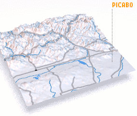 3d view of Picabo