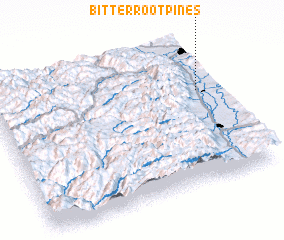 3d view of Bitterroot Pines