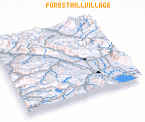 3d view of Forest Hill Village