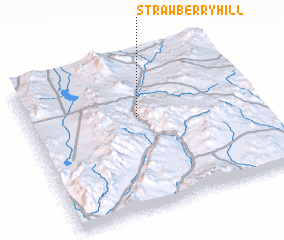 3d view of Strawberry Hill