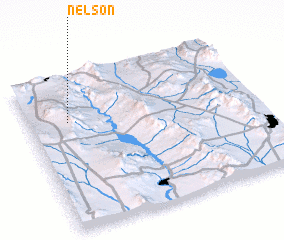3d view of Nelson