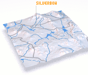 3d view of Silverbow