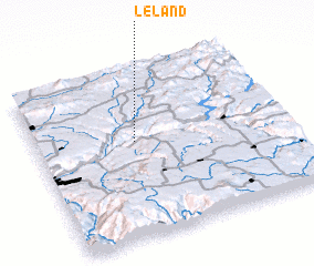 3d view of Leland