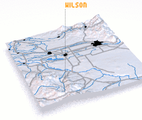 3d view of Wilson