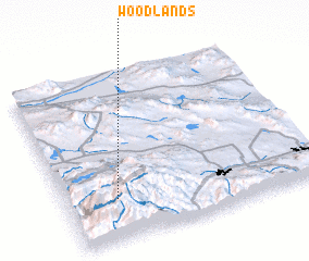 3d view of Woodlands