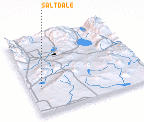 3d view of Saltdale