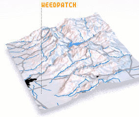 3d view of Weed Patch