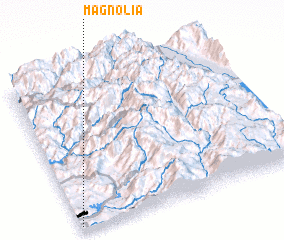 3d view of Magnolia