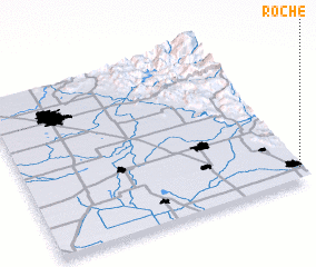 3d view of Roche