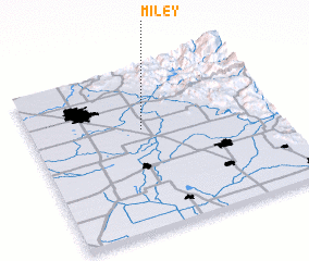 3d view of Miley