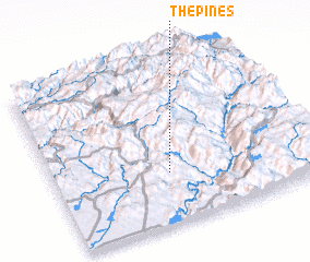 3d view of The Pines