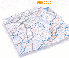 3d view of Fine Gold