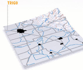 3d view of Trigo