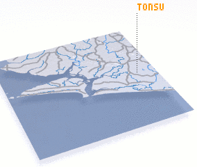 3d view of Tonsu