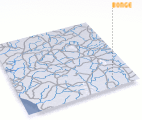 3d view of Bonge