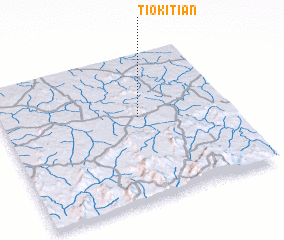 3d view of Tiokitian