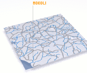 3d view of Mokoli