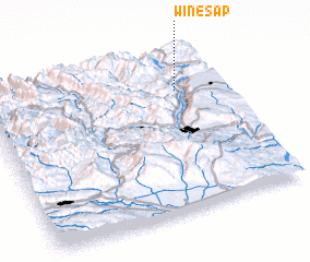 3d view of Winesap