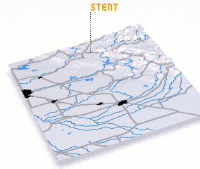 3d view of Stent