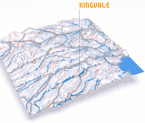 3d view of Kingvale