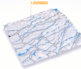 3d view of Leonardi