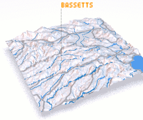 3d view of Bassetts