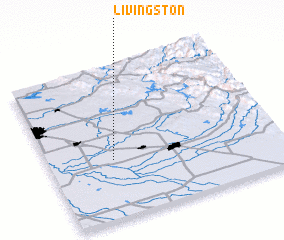 3d view of Livingston