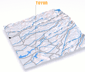 3d view of Toyon