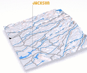 3d view of Jackson