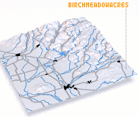 3d view of Birch Meadow Acres