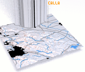 3d view of Calla