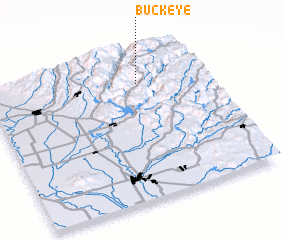 3d view of Buckeye