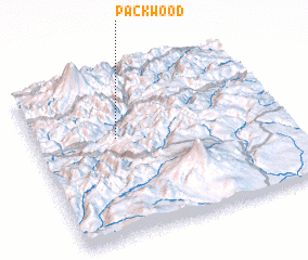 3d view of Packwood
