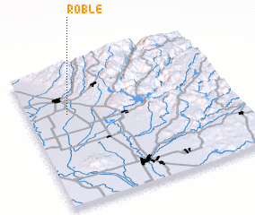 3d view of Roble