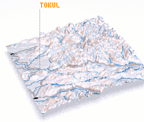 3d view of Tokul