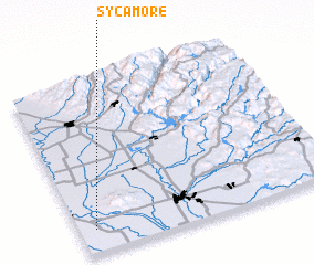 3d view of Sycamore