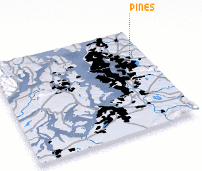 3d view of Pines