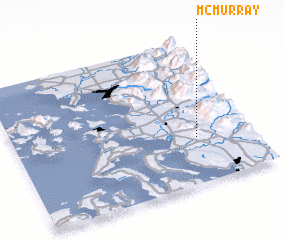 3d view of McMurray