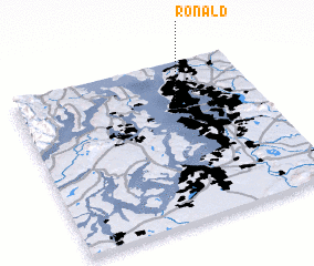 3d view of Ronald