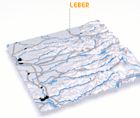 3d view of Leber