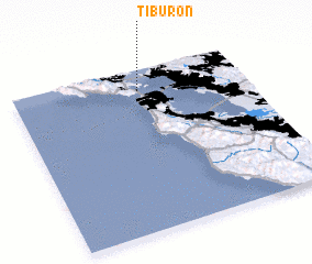 3d view of Tiburon