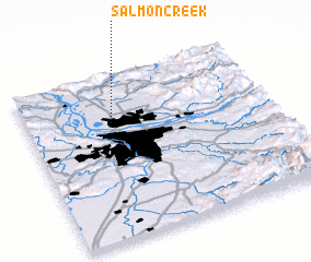 3d view of Salmon Creek